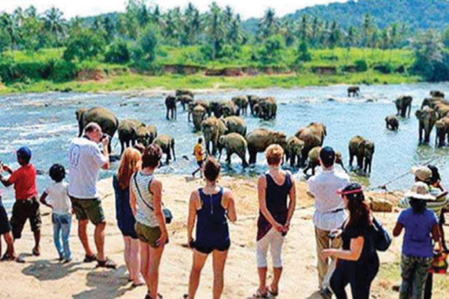 Sri Lanka records over 50,000 tourist arrivals in first 10 days of December
